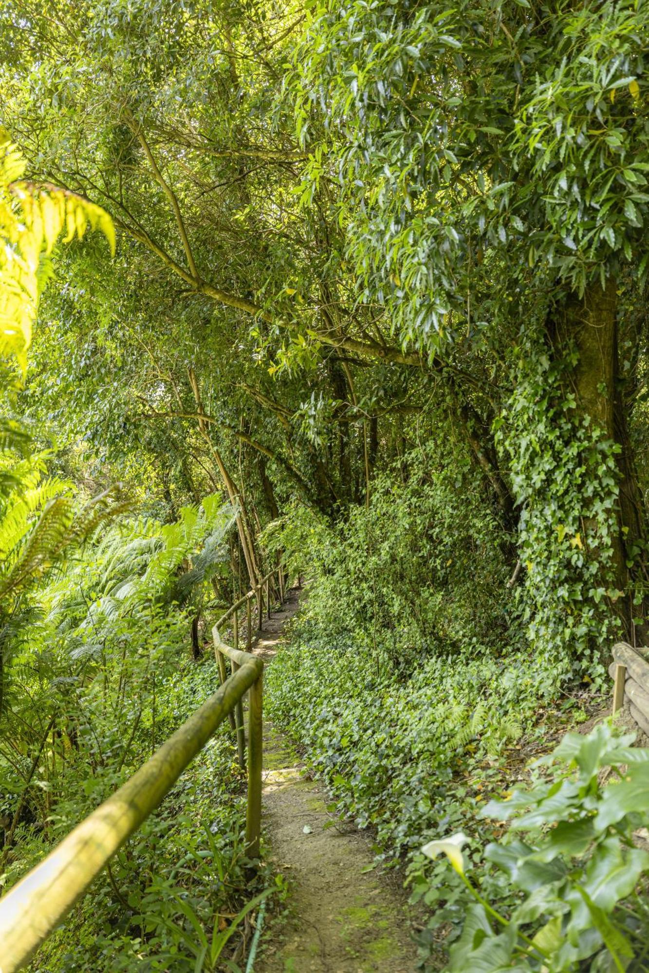 Stream Side Haven Villa By Cadenzalux Colares Exteriér fotografie